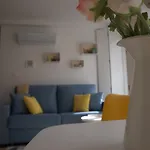 New! Colorful And Central